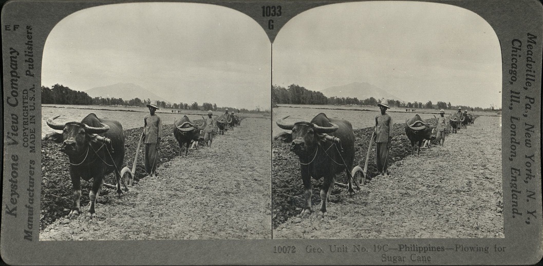 Geo. Unit No. 19C – Philippines – Plowing for Sugar Cane.
